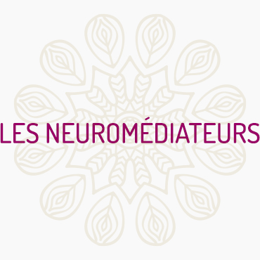 Les neuromédiateurs